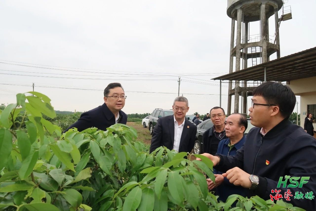 1703726159262014484.jpg 1703726159262014484.jpg