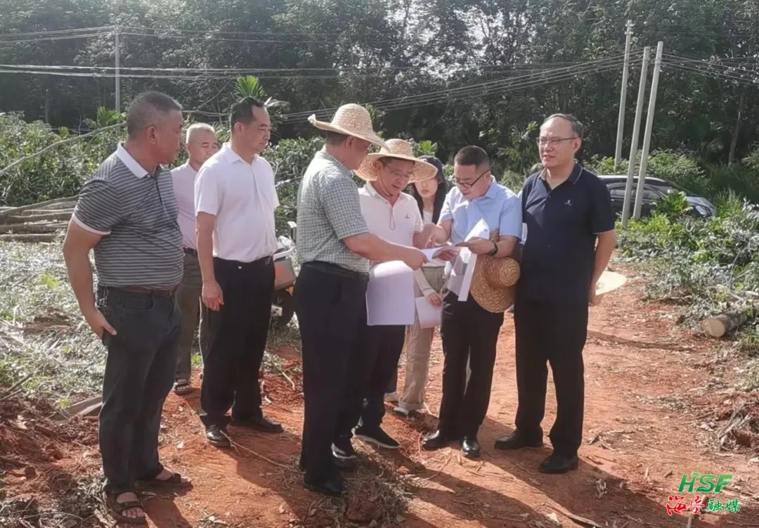 1721181651354056096.jpg 1721181651354056096.jpg