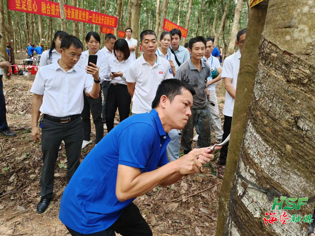 1698744598895087486.png 1698744598895087486.png